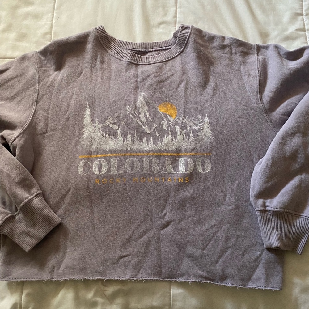 Hollister Cropped Sweater